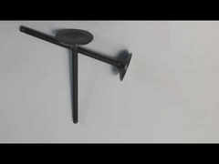 OEM Standard Stainless Steel GY6 Motorcycle Engine Valve